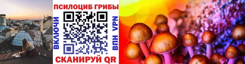 Галлюциногенные грибы GOLDEN TEACHER  OMG как зайти  Монино 